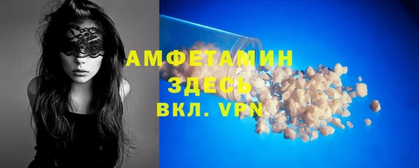 шишки Заводоуковск