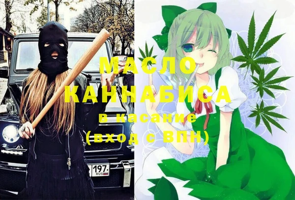 шишки Заводоуковск