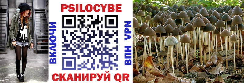 Псилоцибиновые грибы GOLDEN TEACHER  Купить  Лесосибирск 